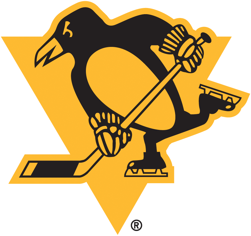 Pittsburgh Penguins 2019 Special Event Logo iron on heat transfer